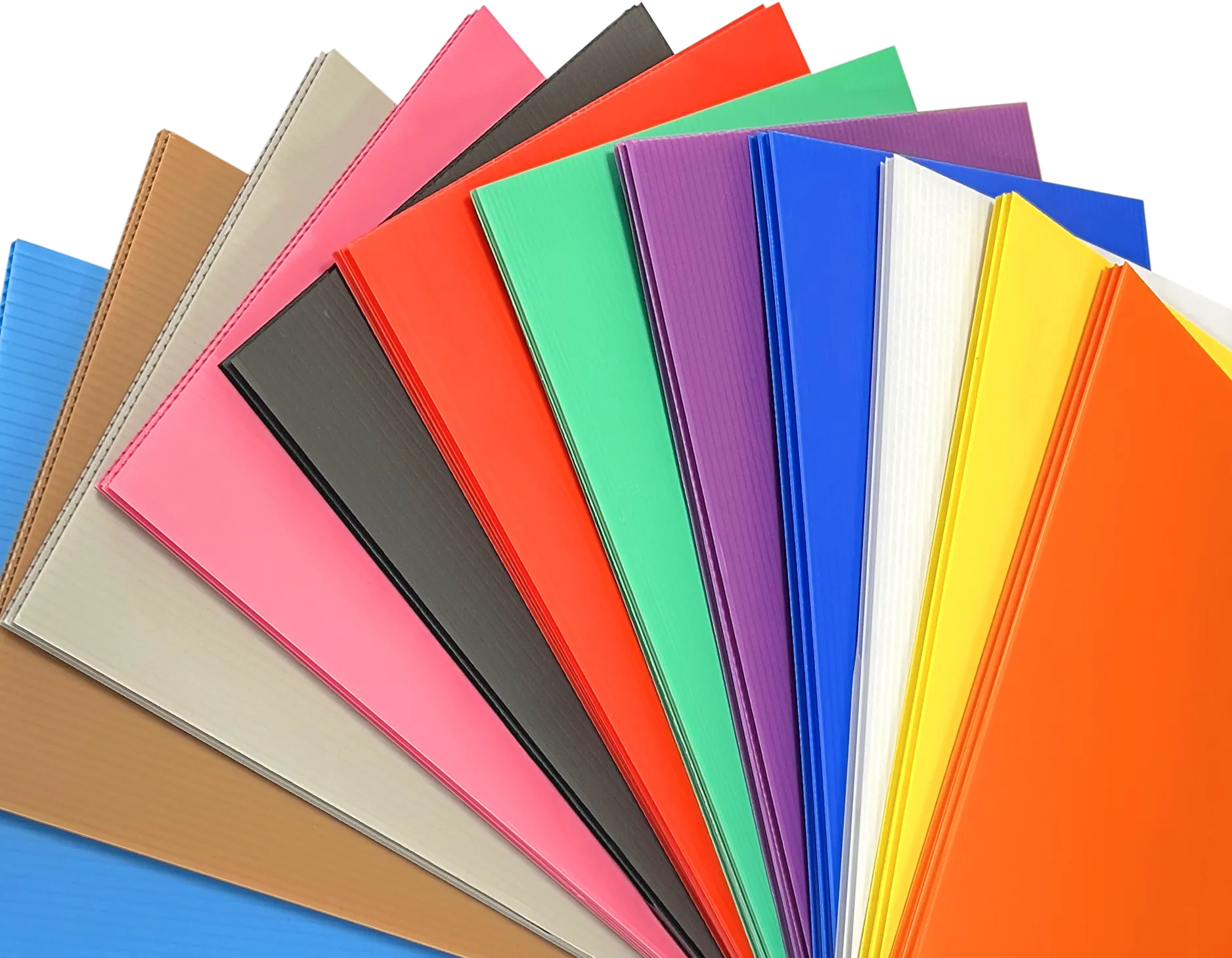 COLOR OPTIONS